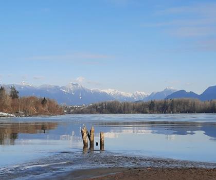 Brae Island Regional Park trail - hiking in Vancouver Coast Mountains