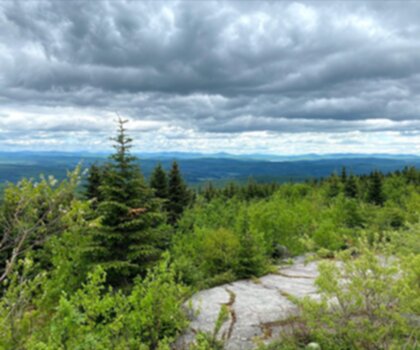 Mont Hereford trail - hiking in Eastern Townships