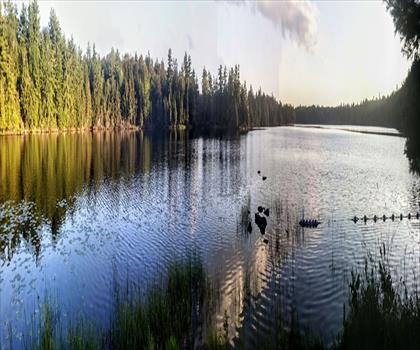 Murphys Point Provincial Park trail - hiking in Haliburton Highlands to the Ottawa Valley