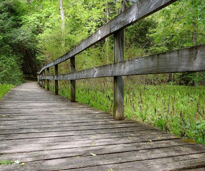 Sentier Robert Edmondson Conservation Area - randonnée en Hamilton, Halton and Brant