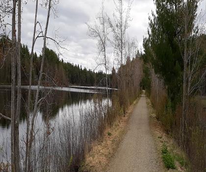 Sentier Wales Loop - randonnée en Vallée de Merrimack