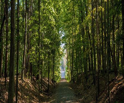 Sentier sentier Ashokan Rail - randonnée en Vallée de l'Hudson