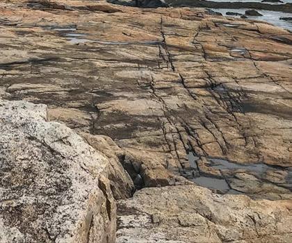Schoodic Beach-Mountain Trailhead trail - hiking in Down East & Acadia