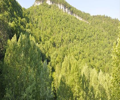 Sentier mont Cave - randonnée en Montagnes Blanches