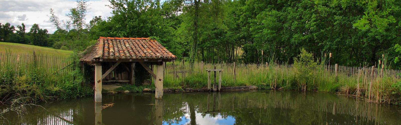 Le Grand Etang de La Jemaye trail - hiking in Dordogne