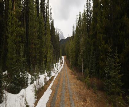 Sentier Smutwood Peak Trailhead - randonnée en Canadian Rockies