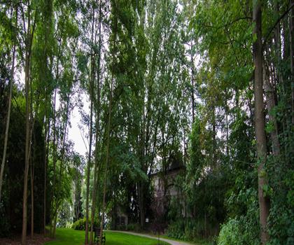 Paletta Lakefront Park trail - hiking in Hamilton, Halton and Brant