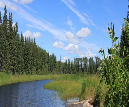 Sentier Nutimik Lake Campground - randonnée en Région de l'Est