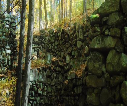 Mill River Conservation Area trail - hiking in Pioneer Valley