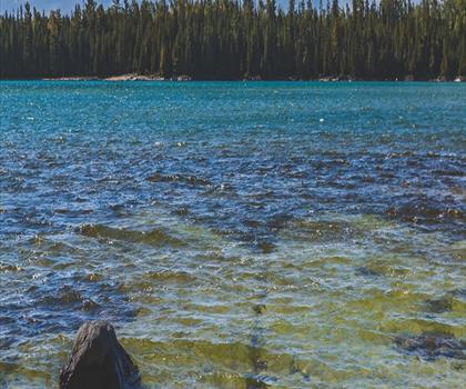 Misery Bay Provincial Nature Reserve trail - hiking in Northeastern Ontario