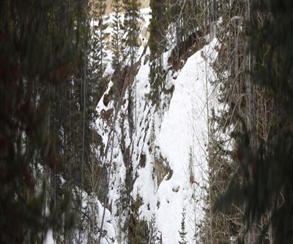 Sentier King Creek Ridge - randonnée en Canadian Rockies