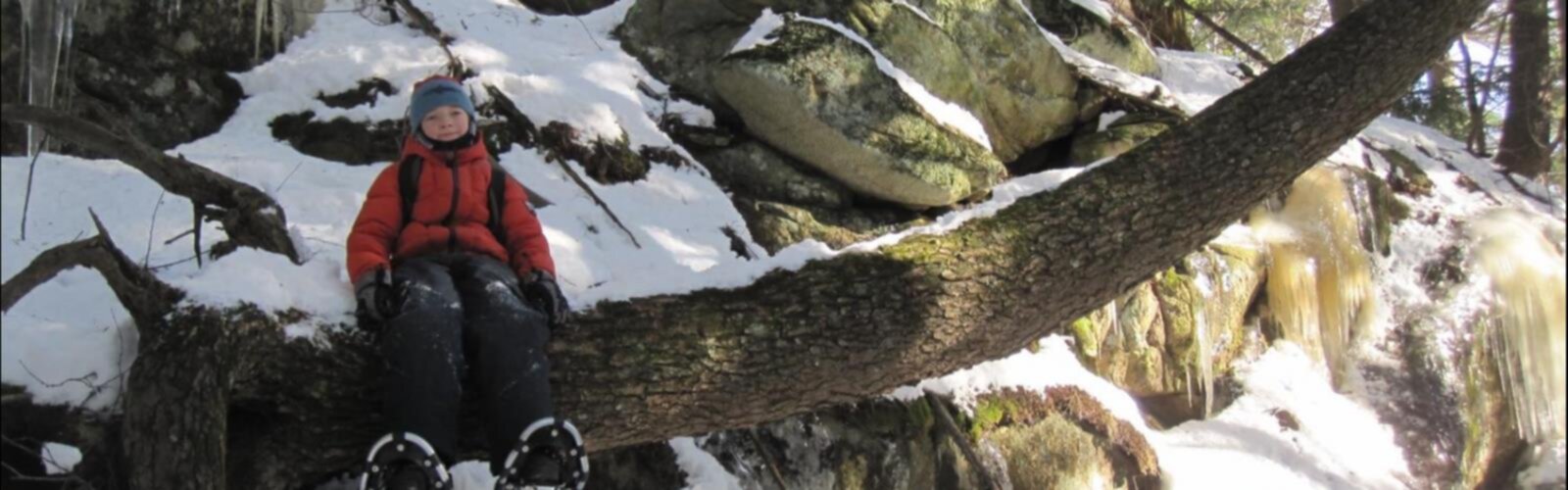 Aux berges du lac Castor trail - hiking in Saint-Paulin