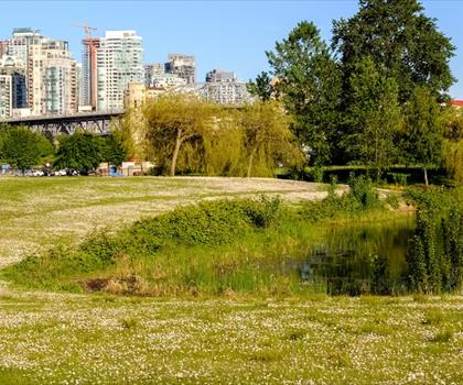 Vanier Park trail - hiking in Vancouver Coast Mountains
