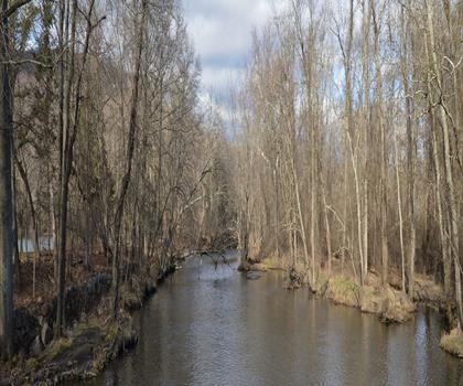 Darlington County Park trail - hiking in Northern New Jersey