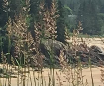 New River Beach Provincial Park trail - hiking in Southwest NB
