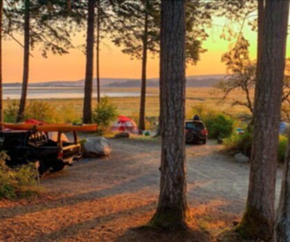 Sentier Living Forest Oceanside Campground & RV Park - randonnée en Île de Vancouver
