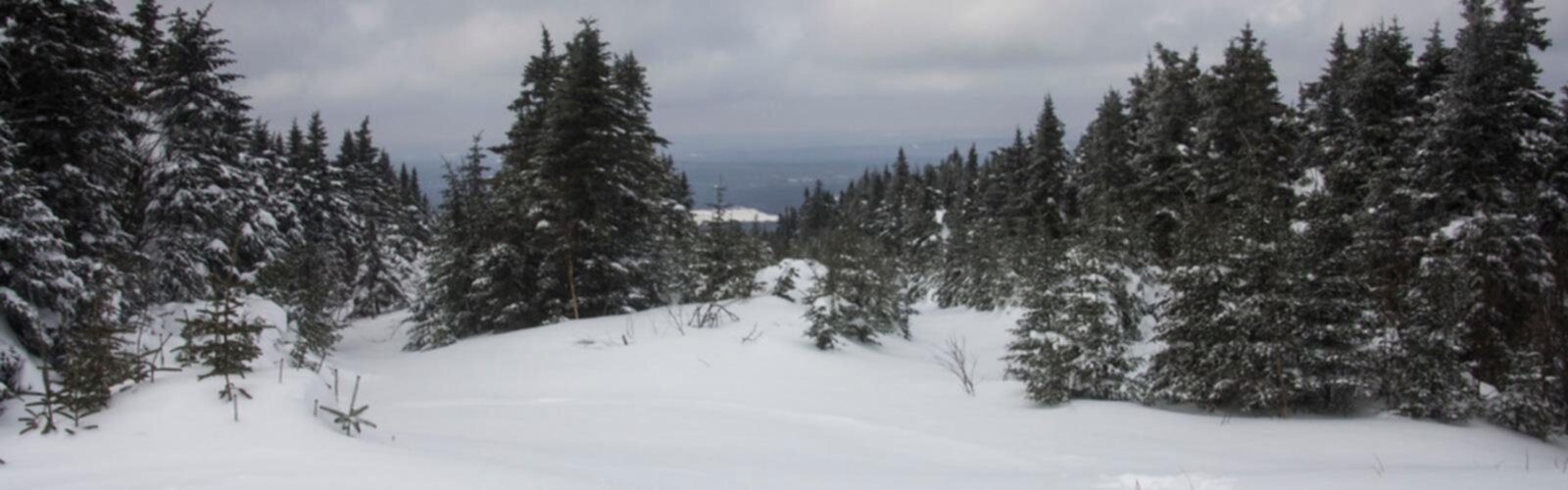 Sentier Parc Régional Des Appalaches - randonnée en Chaudière-Appalaches