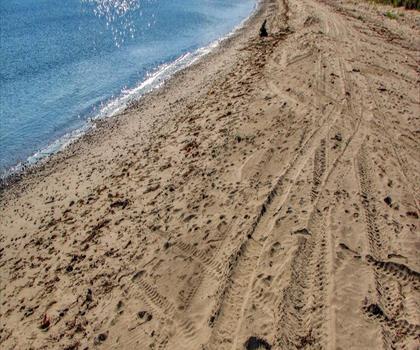 Sentier Plage Haldimand - randonnée en Gaspésie