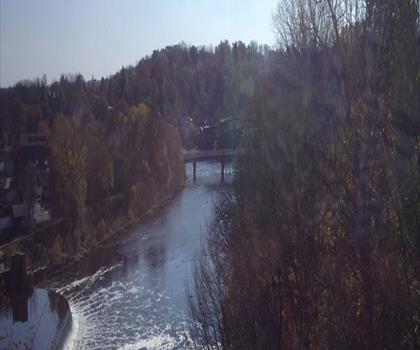 Brant Conservation Area trail - hiking in Hamilton, Halton and Brant
