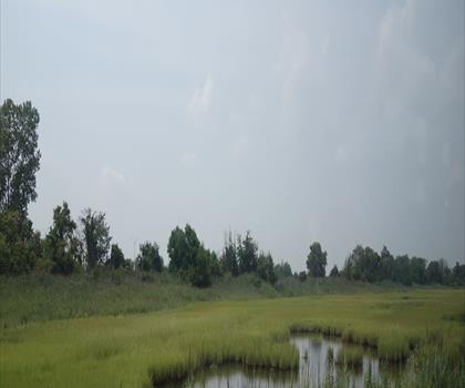 Sentier parc Brookville - randonnée en Long Island