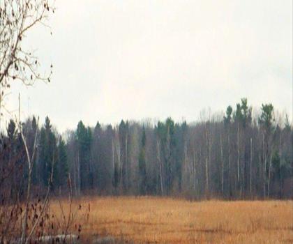 Sentier Cutts Island Trail on the Rachel Carson Nature Preserve - randonnée en Plages du Maine