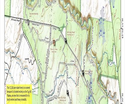 Tug Hill State Forest trail - hiking in Adirondacks