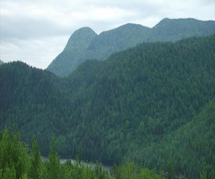 Chimney Mountain trail - hiking in Adirondacks