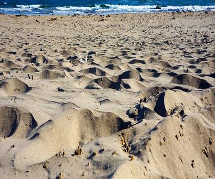 Lawrencetown Beach Provincial Park trail - hiking in Eastern Shore