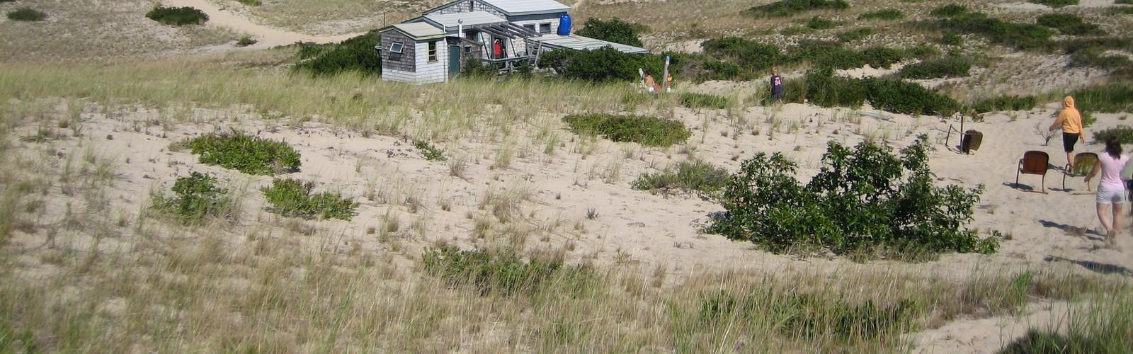 Dune Shacks Trail trail - hiking in Cape Cod