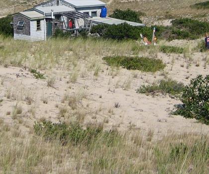 Dune Shacks Trail trail - hiking in Cape Cod
