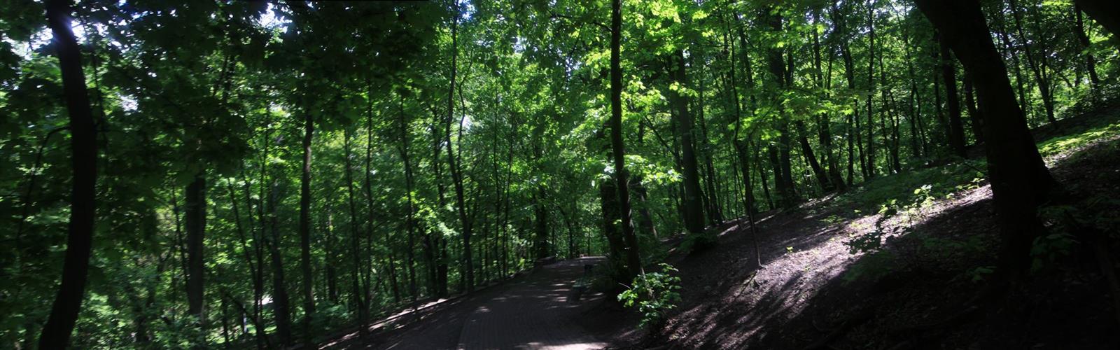 Birch Grove Park trail - hiking in Northfield