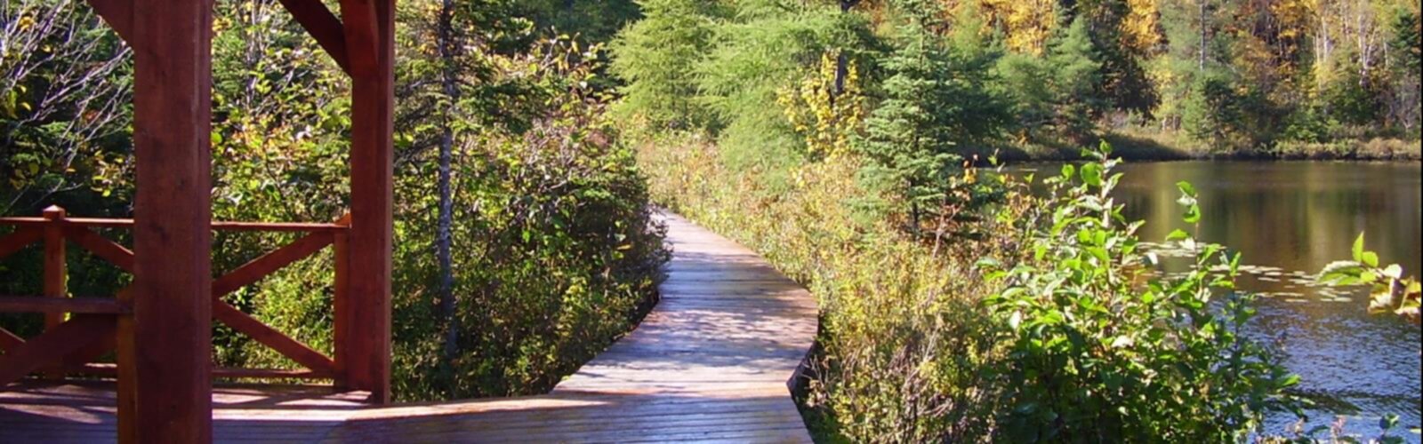 Boisé De La Pointe Saint-gilles trail - hiking in North Shore