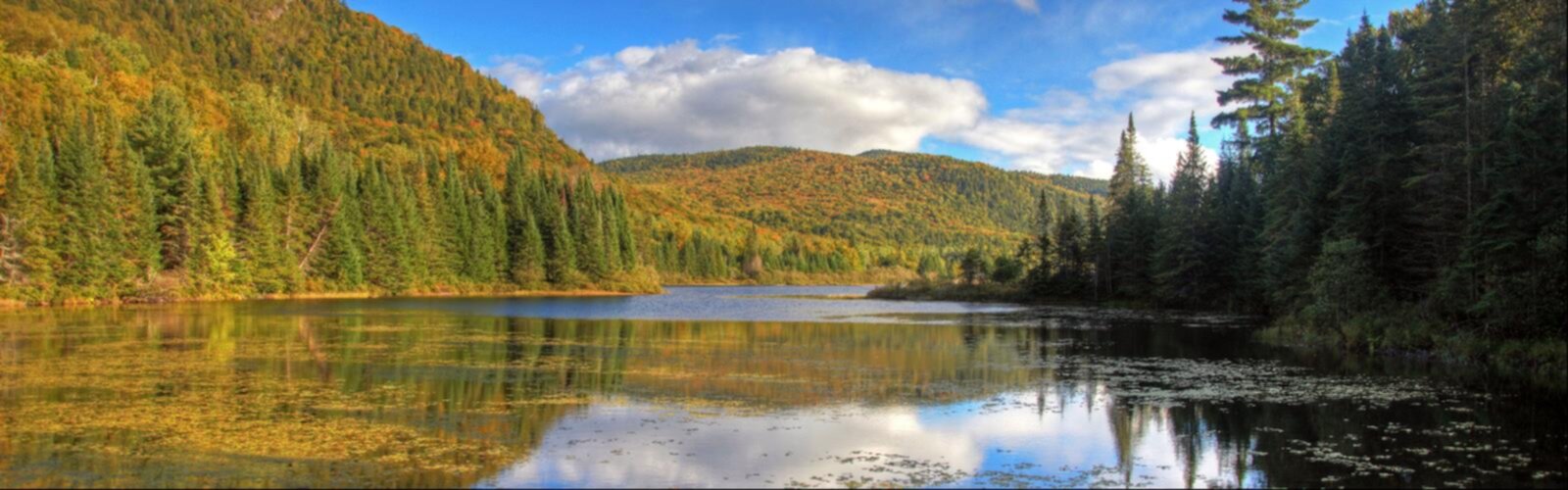 Parc National Du Lac-témiscouata trail - hiking in Bas-Saint-Laurent
