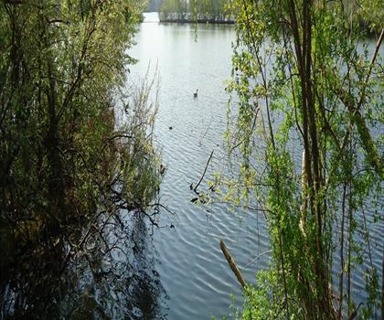 Franklin Lakes Nature Preserve trail - hiking in Northern New Jersey
