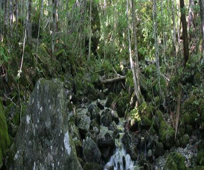 Uisge Bàn Falls Provincial Park trail - hiking in Cape Breton Island