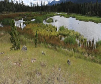Big Bar Lake trail - hiking in Cariboo Chilcotin Coast