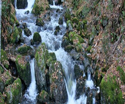 North River Waterfall trail - hiking in Bay of Fundy & Annapolis Valley