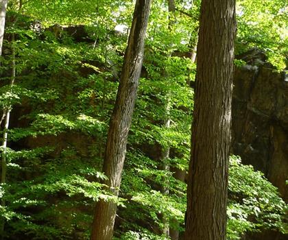 Sentier Raven's Rock - randonnée en Vallée de l'Hudson