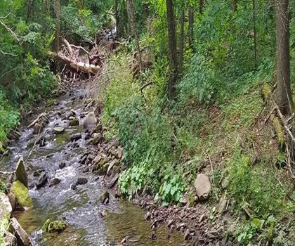 Giant Ledge trail - hiking in Catskills