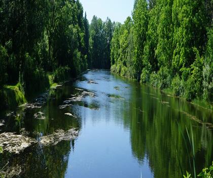 Mount Pleasant Nature Park trail - hiking in Hamilton, Halton and Brant