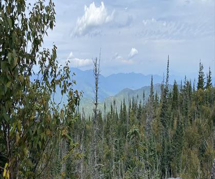 Hurricane Mountain Trailhead trail - hiking in Adirondacks