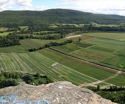 Vroman's Nose Hiking Trail trail - hiking in Leatherstocking Region