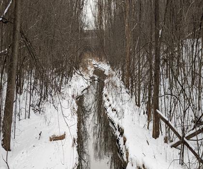 Sentier Parc-nature Du Bois-de-liesse - randonnée en Montréal