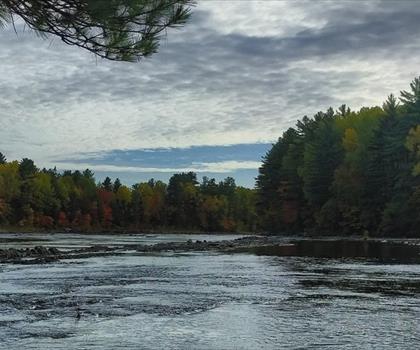 Sentier sentiers Penobscot River - randonnée en Comté d'Aroostook