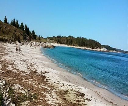 Sentier Pennant Point Cove - randonnée en Rive-Sud