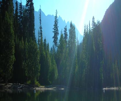 Birkenhead Lake Provincial Park trail - hiking in Vancouver Coast Mountains