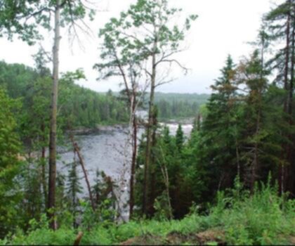 Parc régional des Grandes Rivières - Rat Lake - Area Sluis trail - hiking in Saguenay - Lac-Saint-Jean