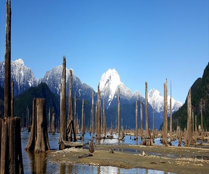Whonnock Lake trail - hiking in Vancouver Coast Mountains