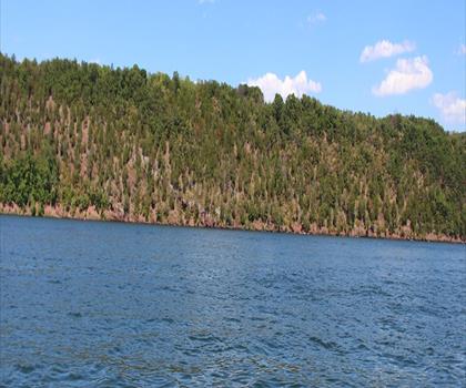 Sentier Happy Trails Campground & Cabins - randonnée en Canadian Rockies