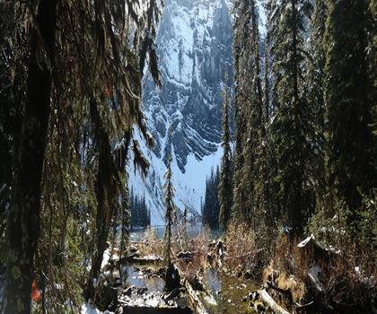 Elk Lakes trail - hiking in Kootenay Rockies